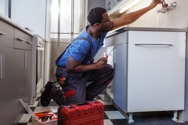 Best Plumbing Services Near Me  in Petersburg, WV